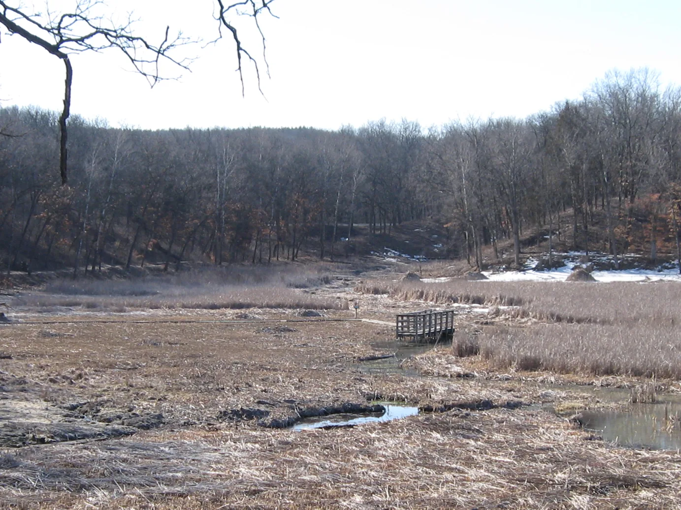 Marsh with a footbridge below wooded hills in the Kettle Moraine of Southeast Wisconsin