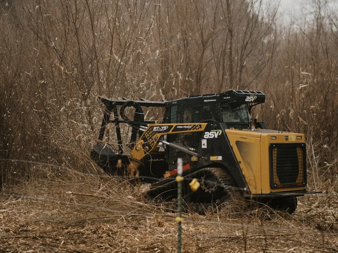 Compact track loader mulching dense brush and saplings, brush clearing