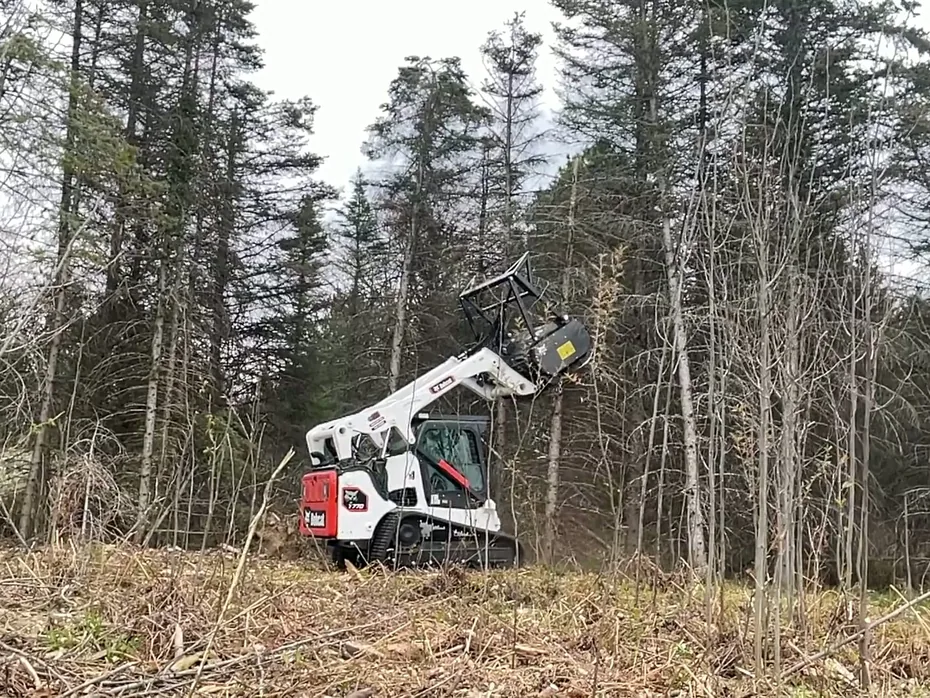 Brush clearing at a woods edge with a compact track loader and mulching head