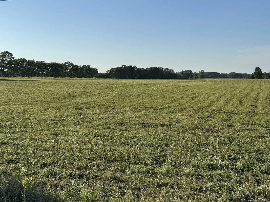 Freshly mowed field after brush hogging with a tree line in the distance