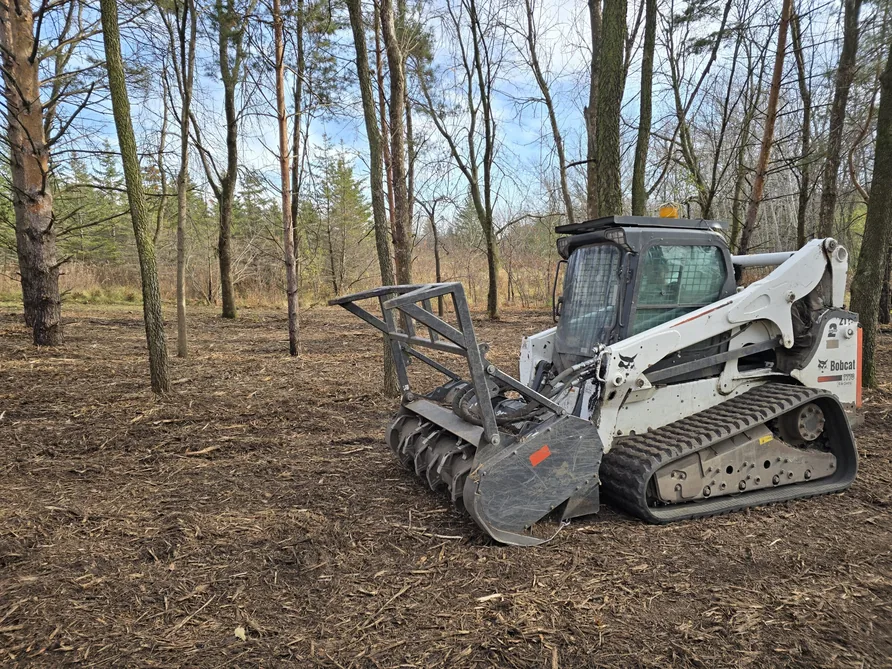 Compact track loader with a mulching head in a woodlot cleared of buckthorn