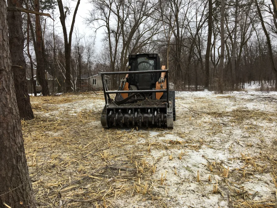 Buckthorn removal in a snowy woodlot with a compact track loader and mulching head