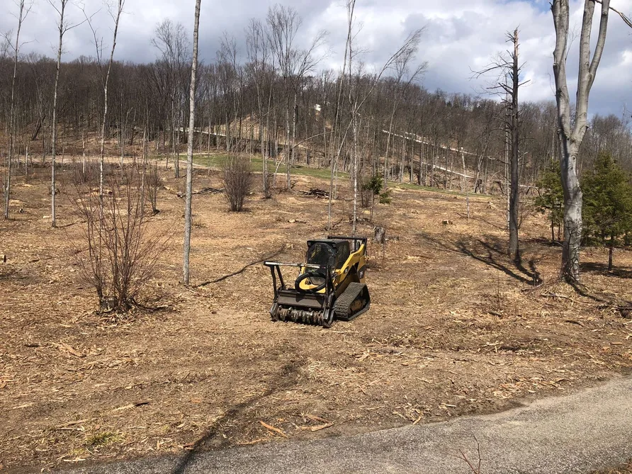 Compact track loader with a mulching head on a cleared hillside, forestry mulching