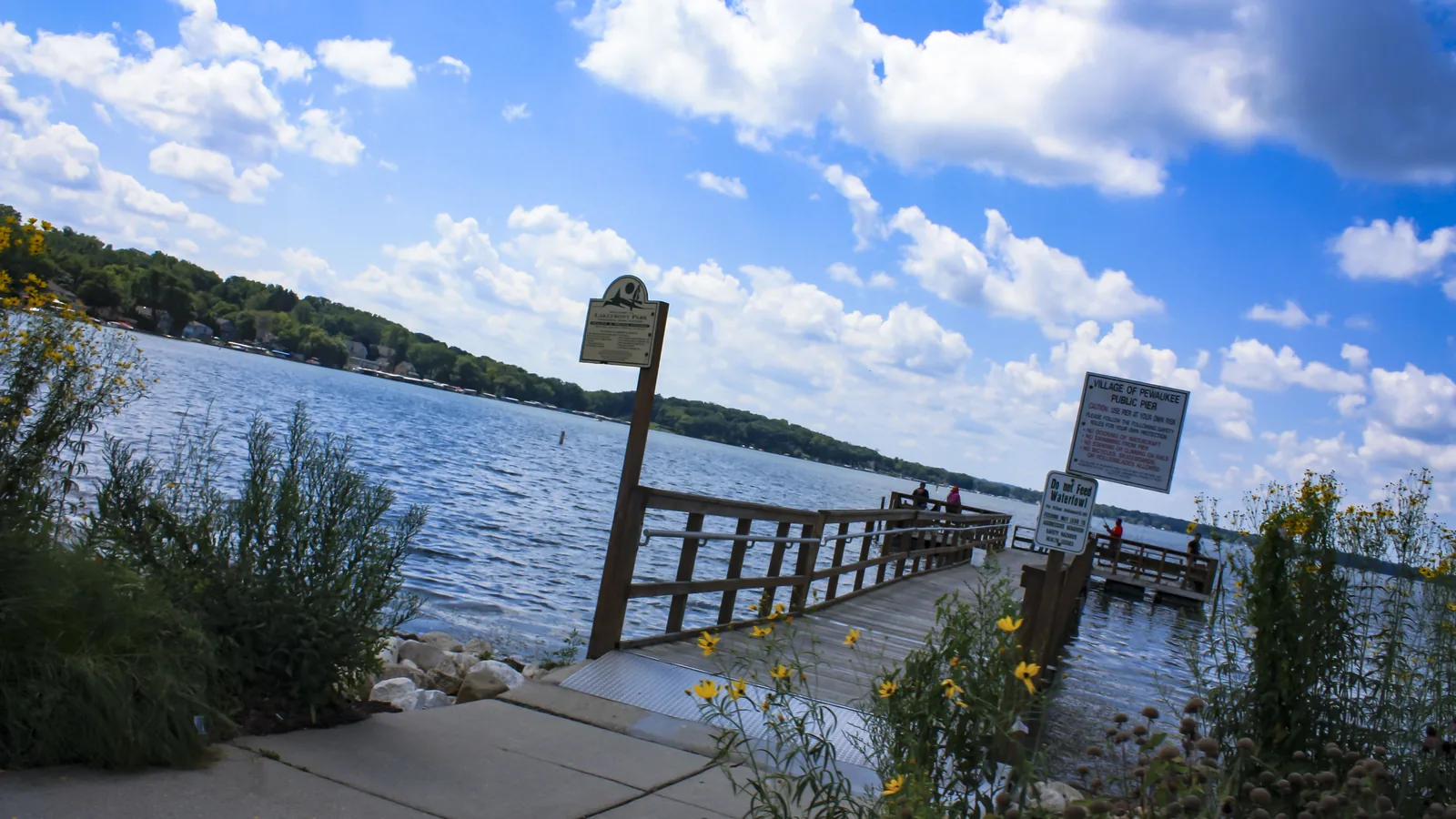 Land clearing in Pewaukee, WI