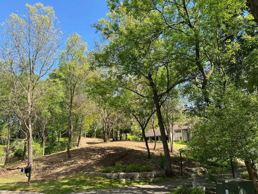 Wooded home lot opened up for site preparation with the mature trees kept