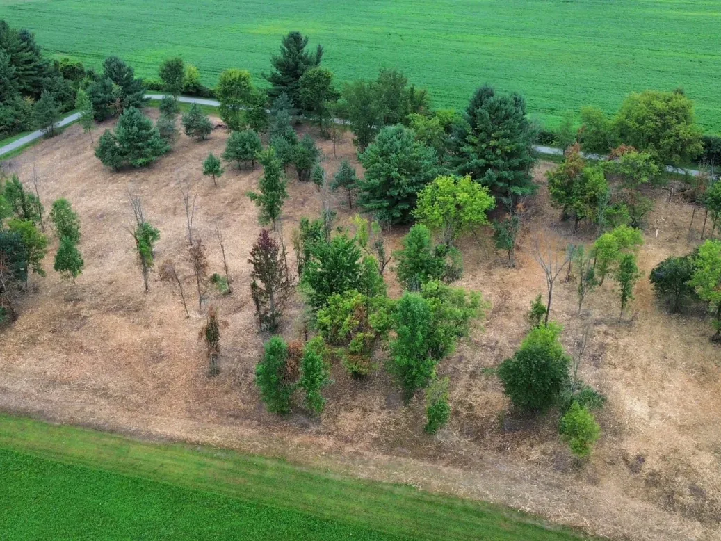 Aerial view of a hillside lot cleared of brush for site preparation with trees kept
