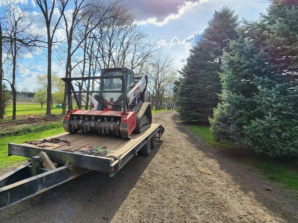 Compact track loader with a mulching head on a trailer at a dirt access lane beside spruce trees