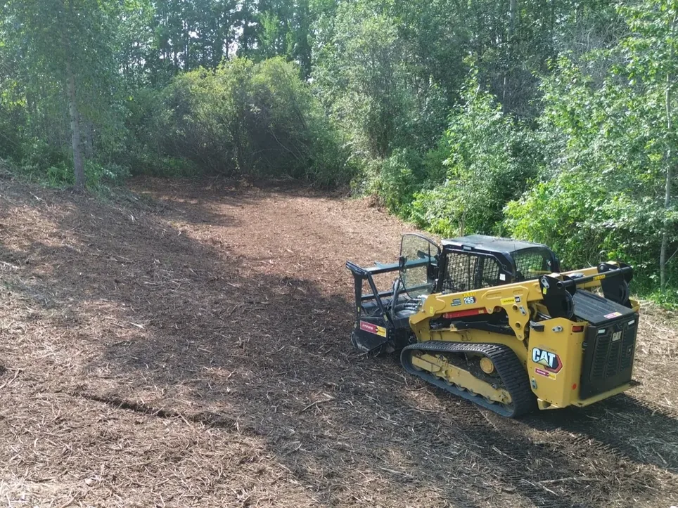 Trail clearing through brushy woods with a compact track loader and mulching head