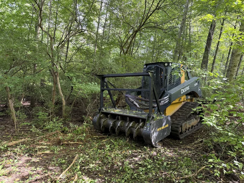 Compact track loader mulching a path through thick brush in hardwood woods