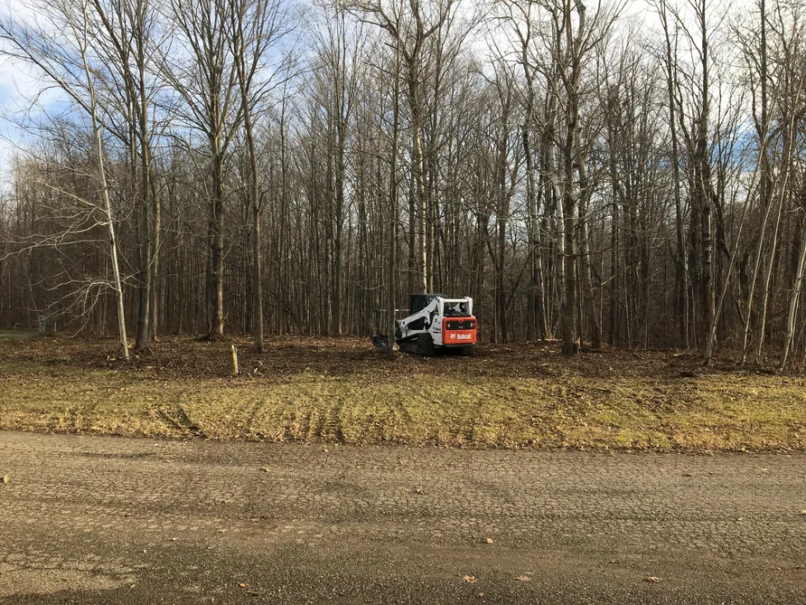 Utility line clearing: brush cleared along a road edge at the woods line with a compact track loader