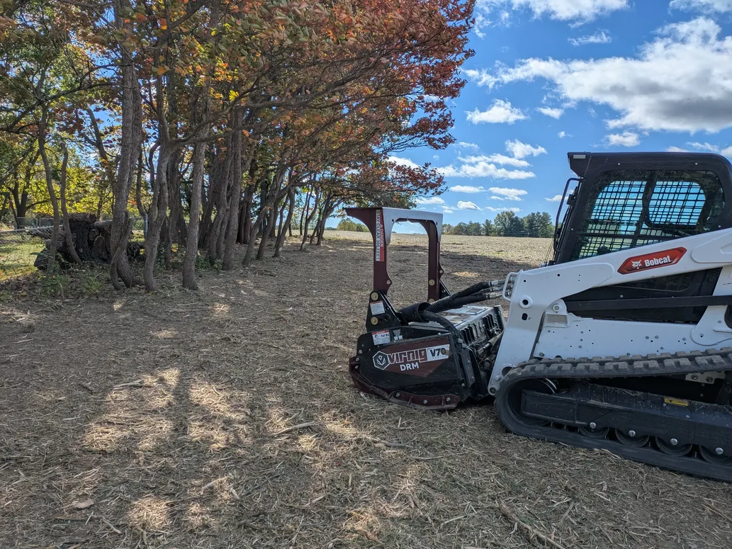 Mulching head on a compact track loader beside a cleared strip along a tree line